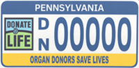 Click here to find out how to purchase a Donate Life license plate.
